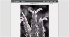 Desktop Screenshot of naxtell.com